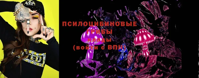 блэк спрут онион  Аша  Галлюциногенные грибы Psilocybe  цена  